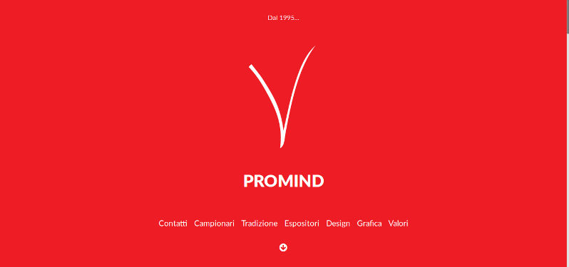 Promind srl